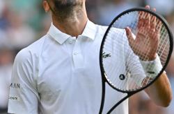 开云体育官网-英国网球队逆转法国网球队，德约科维奇完成帽子戏法的简单介绍