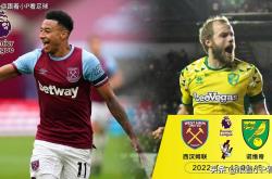 开云体育平台APP-诺里奇淘汰西汉姆，成功晋级德甲