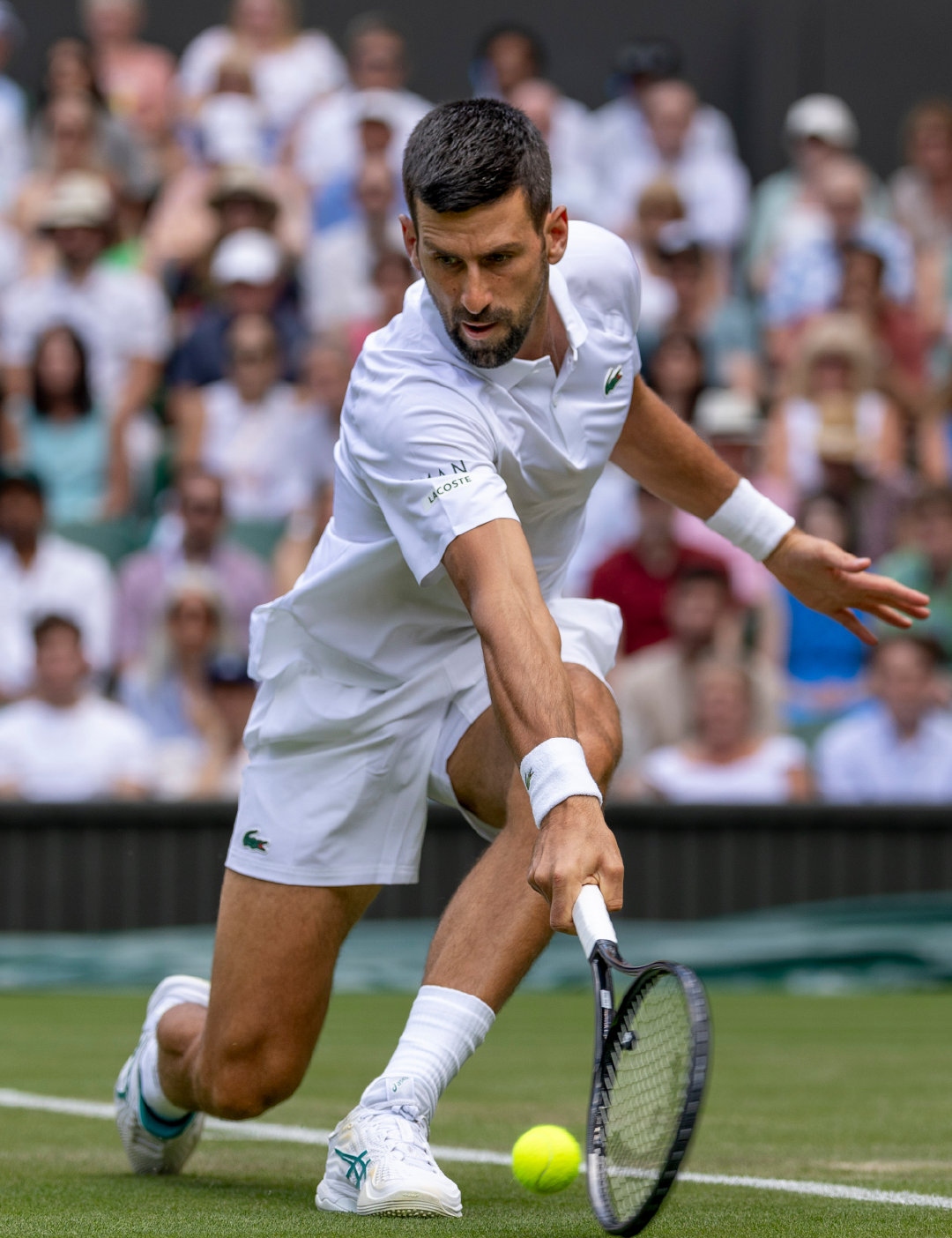 温网险胜ATP总决赛，蒂姆点燃赛场的简单介绍