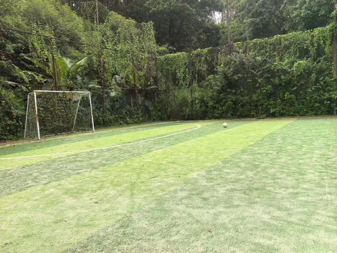 关于错综复杂,变幻莫测的球场角逐的信息 关于错综复杂,变幻莫测的球场角逐的信息