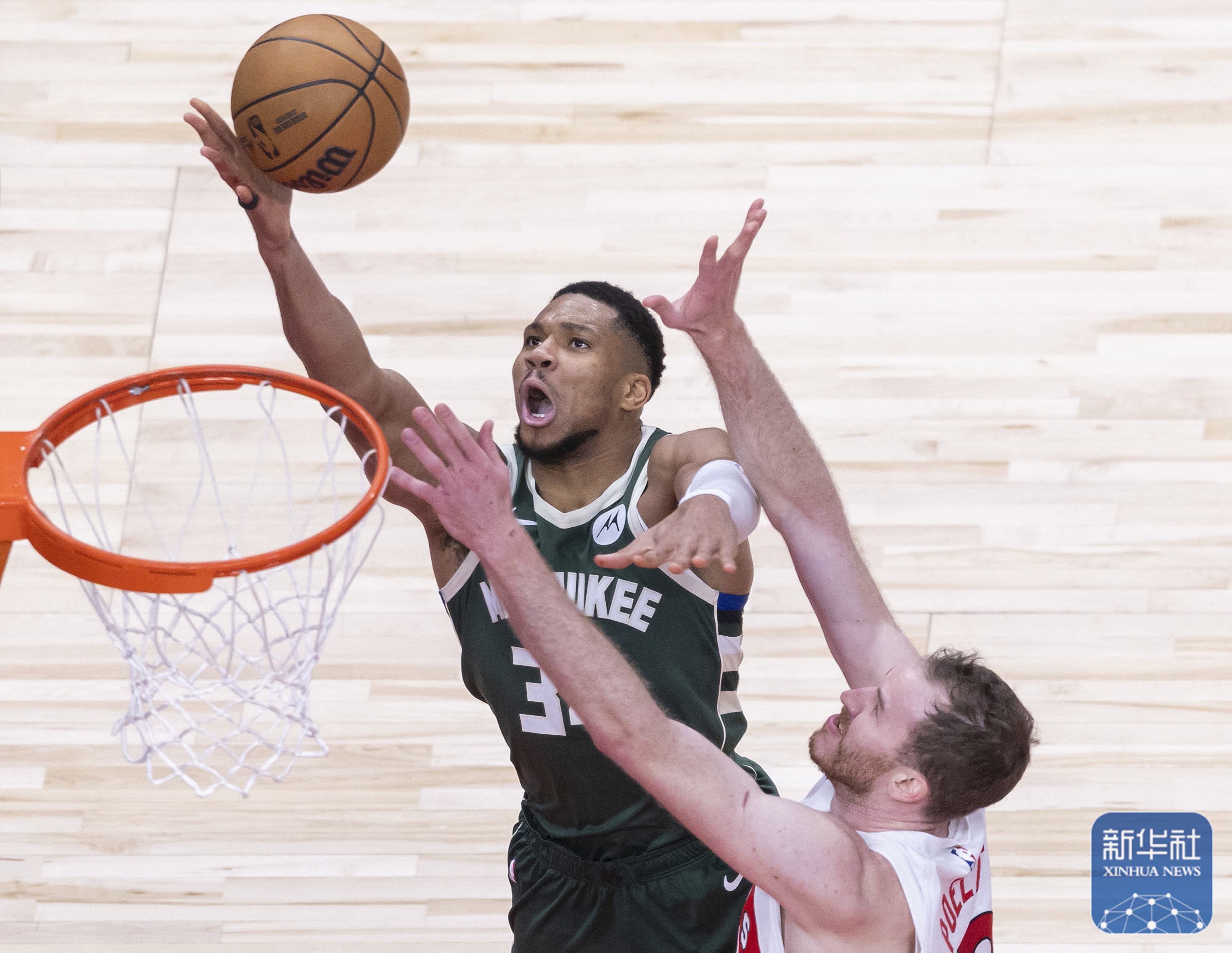 包含法国男篮血洗猛龙，麦科勒姆高光表现的词条