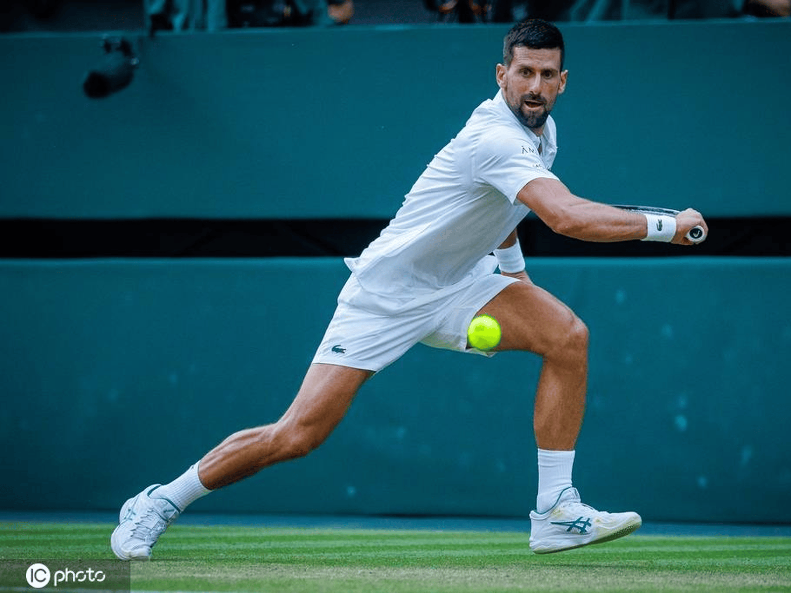 英国网球队完胜德国网球队,德约科维奇制霸全场的简单介绍 英国网球队完胜德国网球队,德约科维奇制霸全场的简单介绍