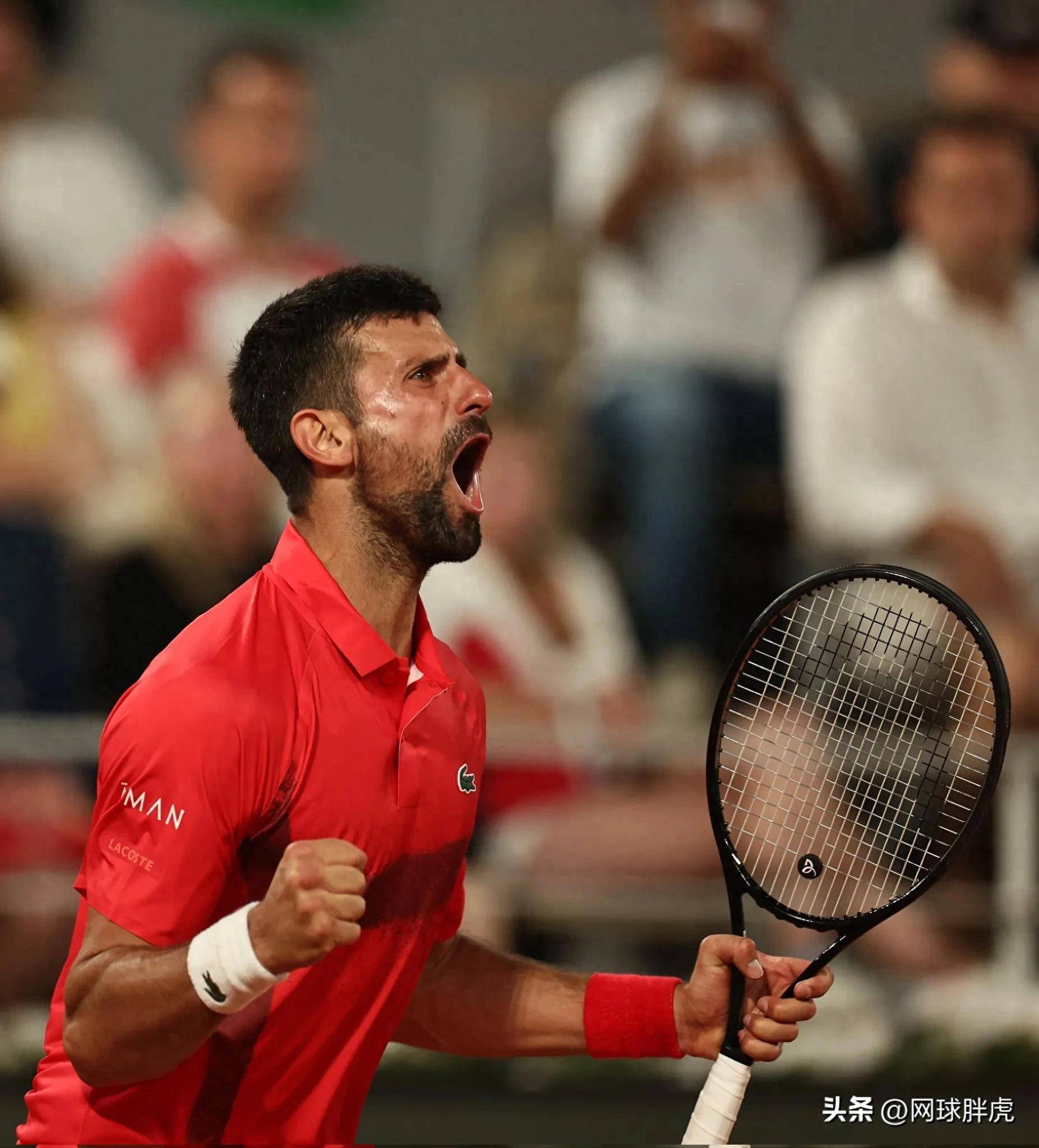 西班牙网球队血洗美国网球队，德约科维奇惊艳世界的简单介绍