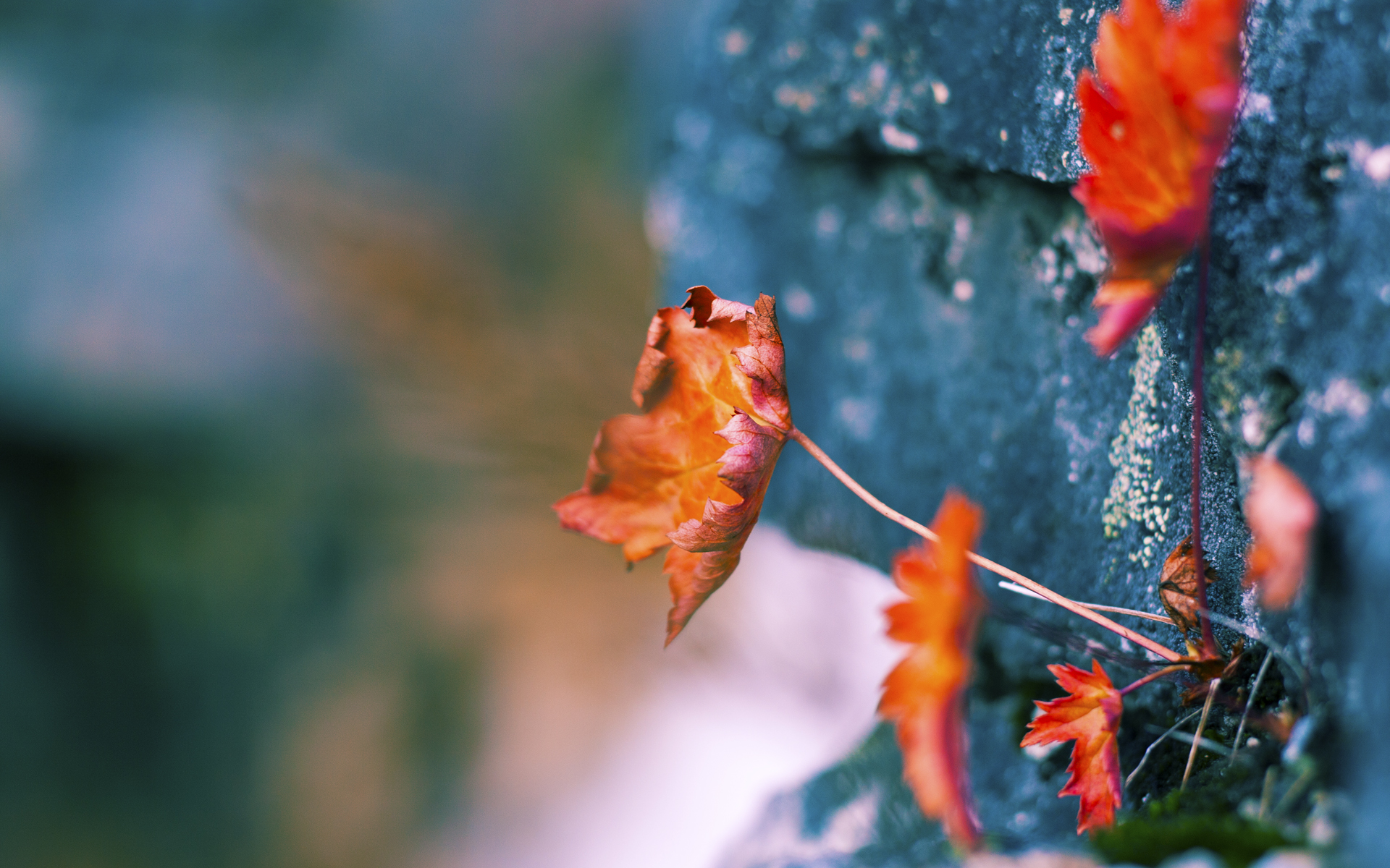西甲国家德比之夜,马克西的防守艺术,如何用智慧与坚韧锁死对手