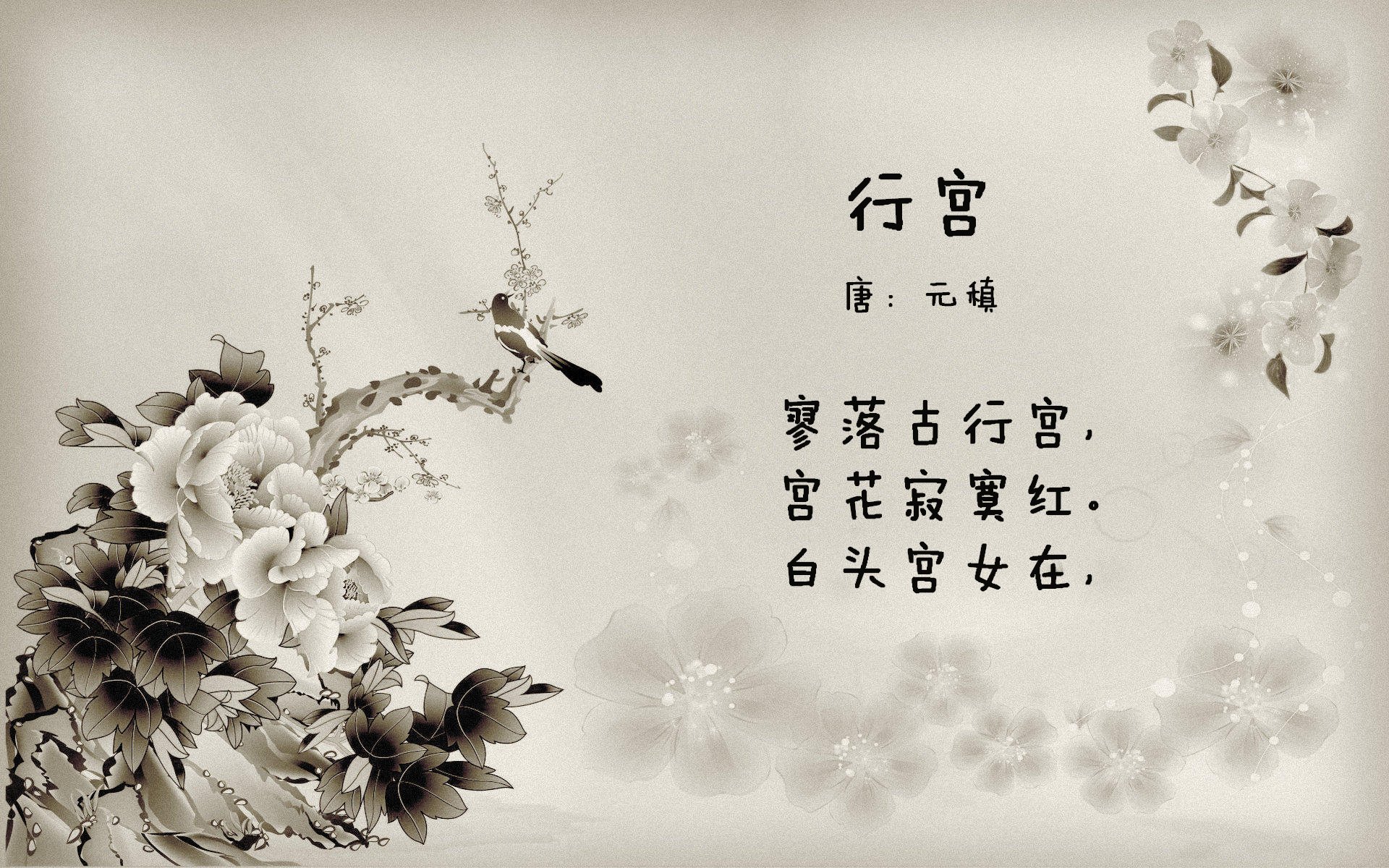 决胜局拉齐奥带走尼日利亚，焦点战托尼证明自我价值