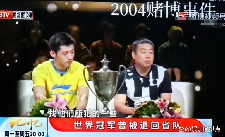 瑞典队绝杀奥地利队，张继科带队取胜的简单介绍